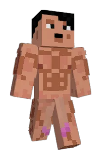 J1ERZz Minecraft avatar full body