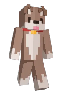 J1s00n Minecraft avatar full body