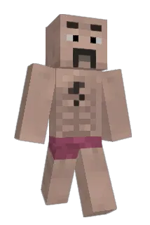 J344T Minecraft avatar full body
