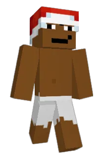J353 Minecraft avatar full body