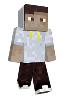 J8750R Minecraft avatar full body