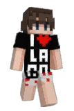 JAME55 Minecraft avatar full body