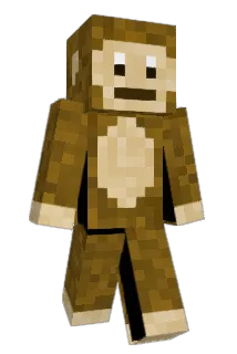 JAN45321 Minecraft avatar full body