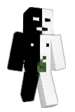JANVS Minecraft avatar full body