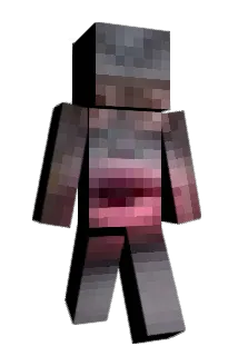JAUSTERE_ Minecraft avatar full body