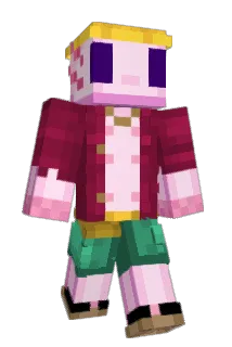 JAVA_VINTE Minecraft avatar full body