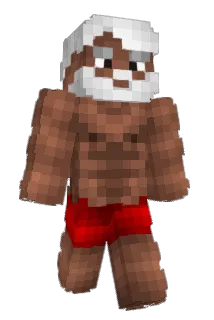JBA4000 Minecraft avatar full body