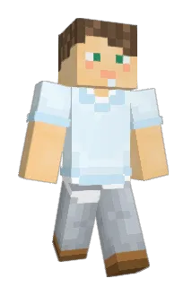 JBR05 Minecraft avatar full body