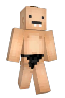 JBR68 Minecraft avatar full body