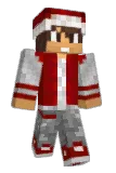 JD1099 Minecraft avatar full body