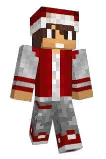 JD1099 Minecraft avatar full body