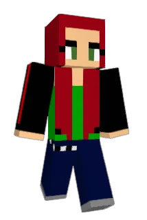 JD617 Minecraft avatar full body