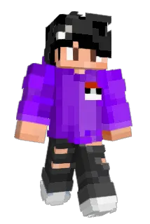 JD6551 Minecraft avatar full body