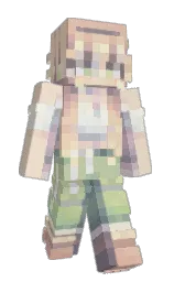 Custom render preview