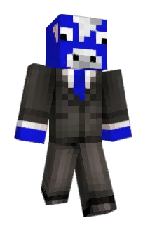JDF2012 Minecraft avatar full body
