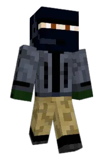 JDZ_Warpig Minecraft avatar full body