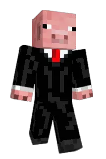 JEMZ16 Minecraft avatar full body