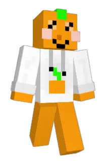 JET1370 Minecraft avatar full body