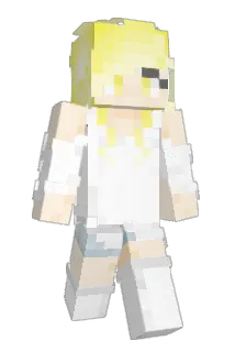 JGJ3414 Minecraft avatar full body