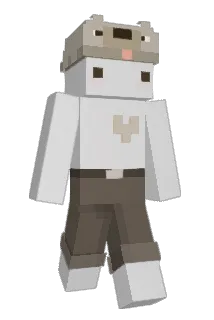JGT_ Minecraft avatar full body
