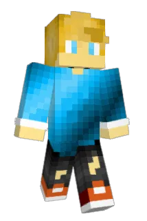 JH220 Minecraft avatar full body