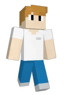 JINI7022 Minecraft avatar full body