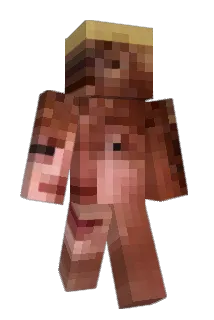 JJC2111 Minecraft avatar full body