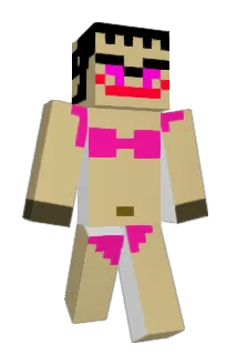 JJH130323 Minecraft avatar full body