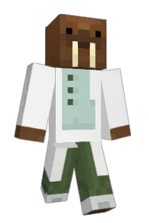 JJONGYOON Minecraft avatar full body