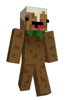 JJ_Plays Minecraft avatar full body