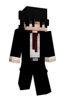 JK14H20 Minecraft avatar full body