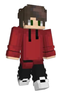 JKLG275 Minecraft avatar full body