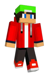 JL1201 Minecraft avatar full body
