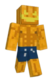 JL207 Minecraft avatar full body