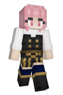 JMR_1202 Minecraft avatar full body