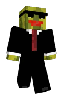 JN1F Minecraft avatar full body