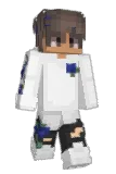 JNA Minecraft avatar full body