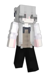 JN_1110 Minecraft avatar full body
