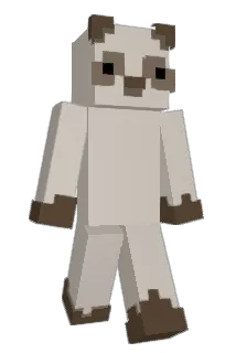 JNarco Minecraft avatar full body