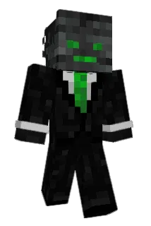 JOANAsilva Minecraft avatar full body