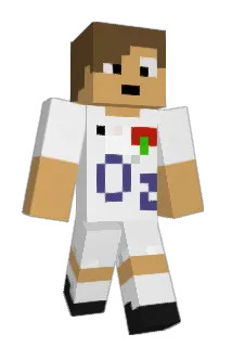 JONTS21 Minecraft avatar full body