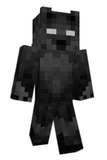 JORGINHODOFACAO Minecraft avatar full body