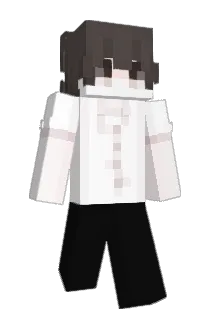 JP6S Minecraft avatar full body