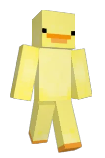 JRD_212 Minecraft avatar full body