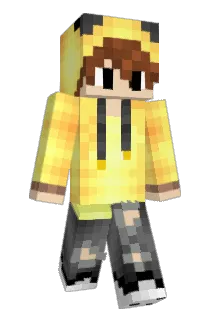 JS_5835 Minecraft avatar full body