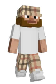 JT3318 Minecraft avatar full body