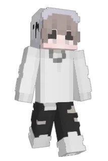 JTM00 Minecraft avatar full body