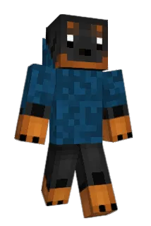 JVBS333 Minecraft avatar full body