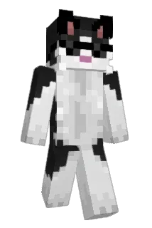 JVCastro Minecraft avatar full body