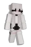 JWNSY Minecraft avatar full body